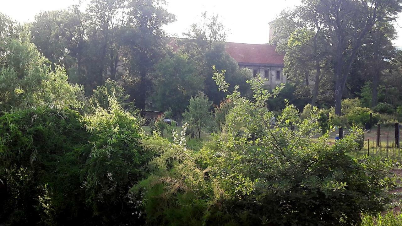 Pivovar Spitt Zahorany Casa de hóspedes Litoměřice Exterior foto